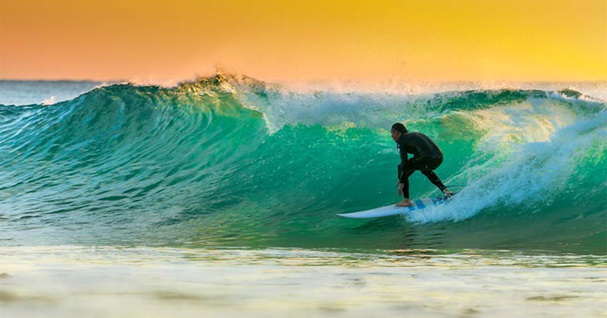 Riding the Swell: Tales from the Beach Life