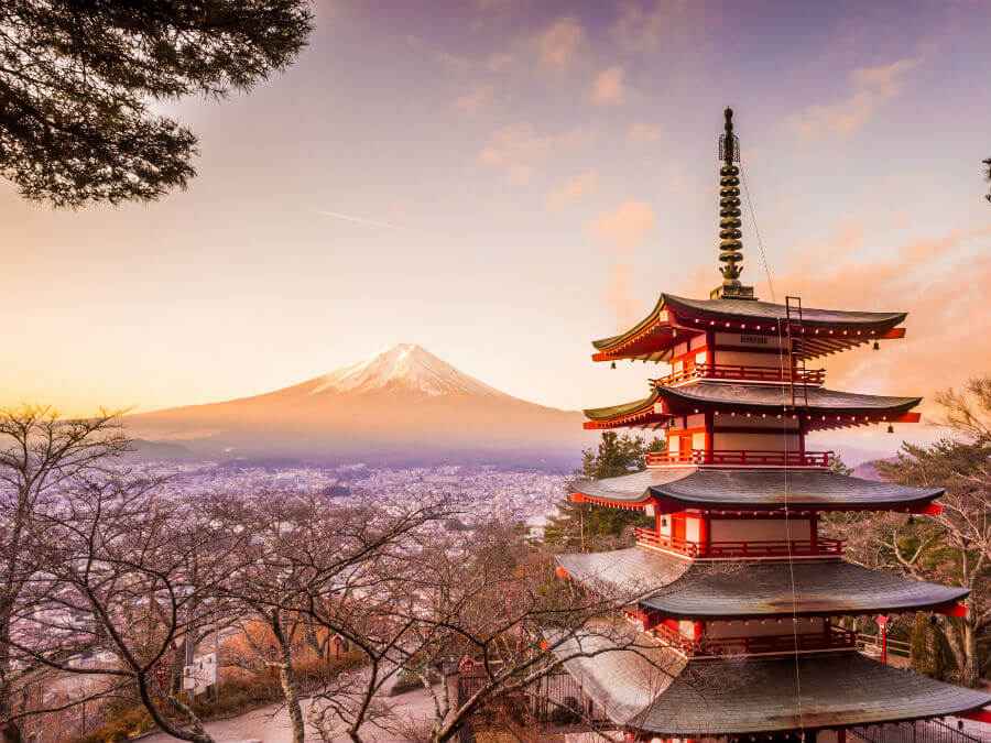 Mt. Fuji landscape