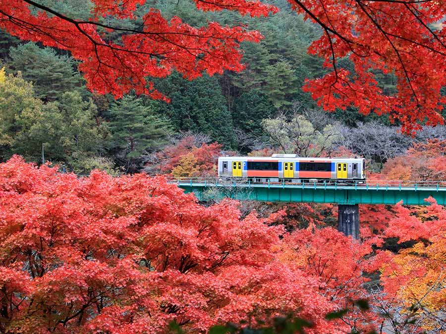 Transport in Japan