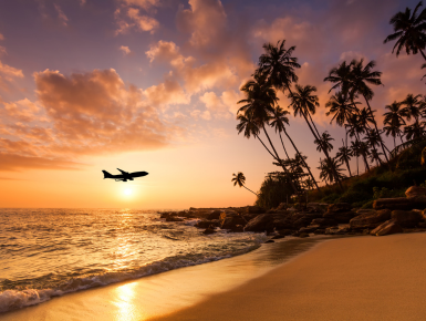Plane flying over tropical landscape at dusk