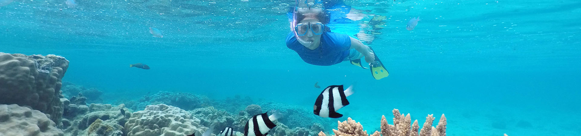 Snorkling in Cook Islands